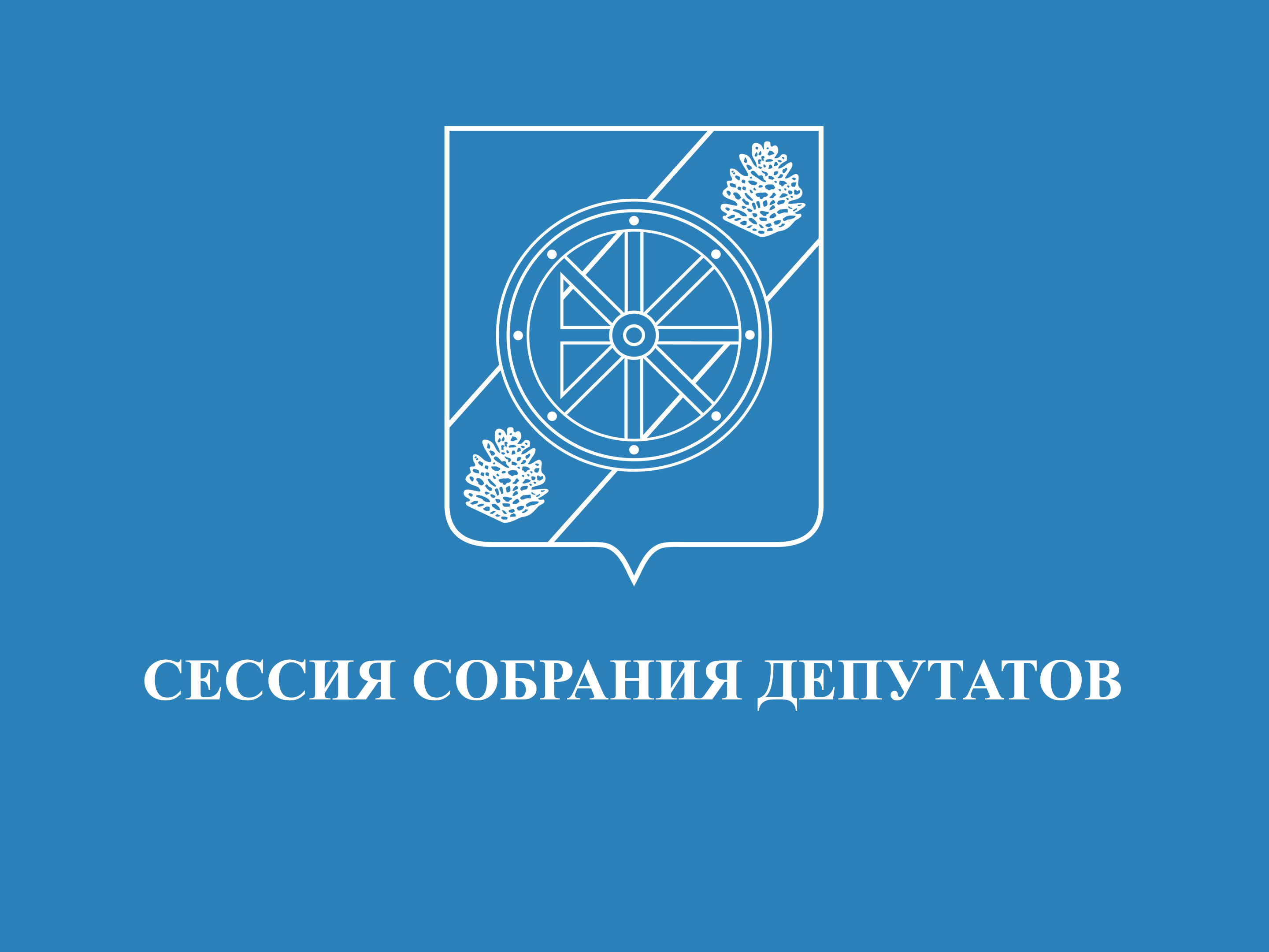 Двадцать пятая (очередная) сессия.