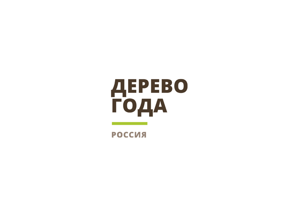 Голосование за Главное дерево страны.
