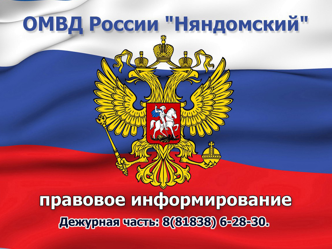 МО МВД России &quot;Няндомский&quot; сообщает.
