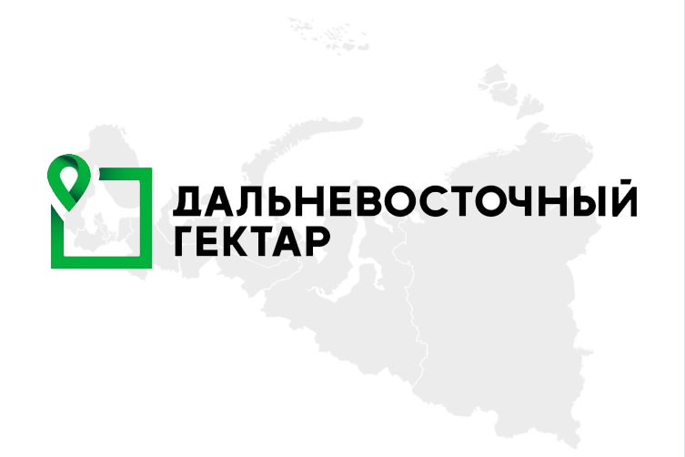 Эксперты ответили на вопросы по оформлению Арктического и Дальневосточного гектара.